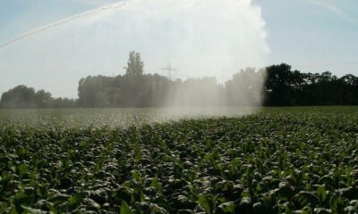 Sanganai/Hlanganani Expo: Devolving Tourism, Rebalancing Growth in Zimbabwe’s Provinces - the Business Diary