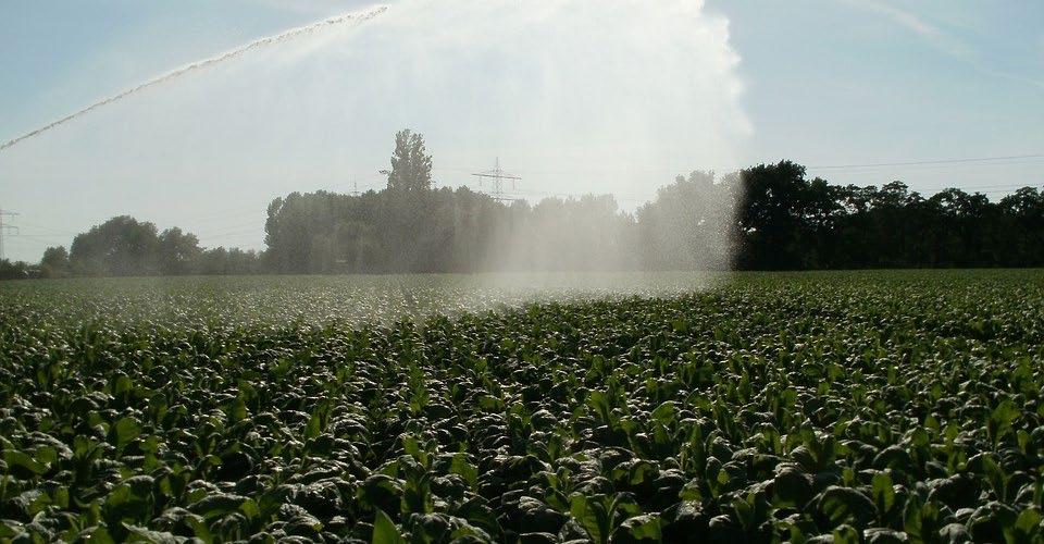 Sanganai/Hlanganani Expo: Devolving Tourism, Rebalancing Growth in Zimbabwe’s Provinces - the Business Diary