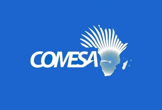 COMESA Summit Harare Draws Oversubscribed Business Events