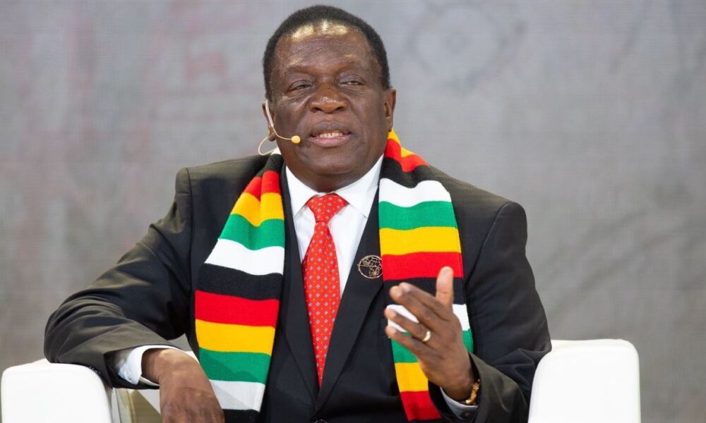 Zimbabwe Takes the COMESA Chair: What It Means for Business in the Region and at Home