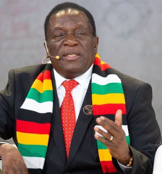 Zimbabwe Takes the COMESA Chair: What It Means for Business in the Region and at Home